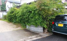 外構リフォーム前の外構の様子　隣地との境界の植木