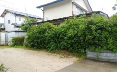 外構リフォーム前の外構の様子　隣地との境界の植木